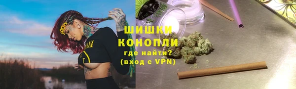 спайс Богданович