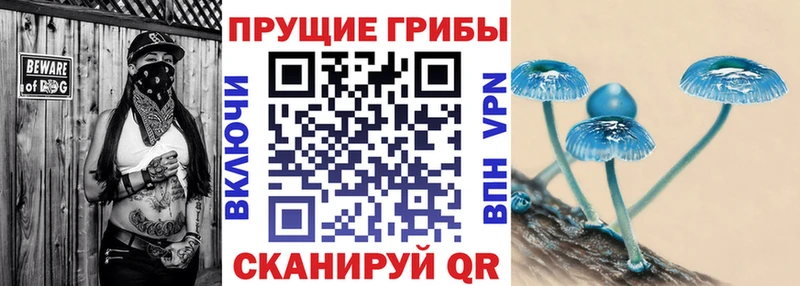 Галлюциногенные грибы прущие грибы  Буйнакск 
