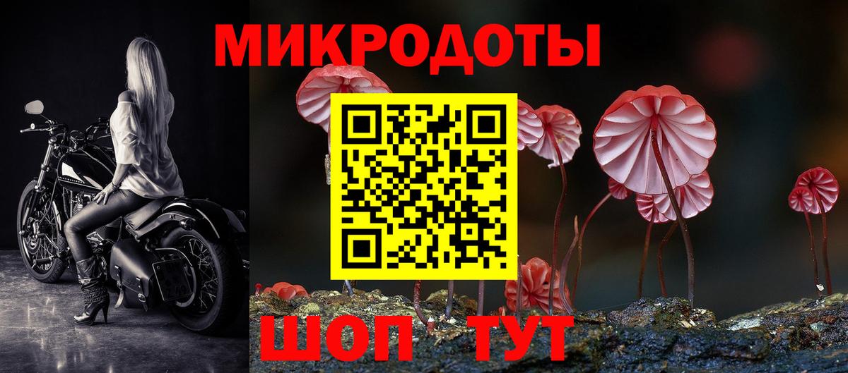 Галлюциногенные грибы Magic Shrooms Буйнакск