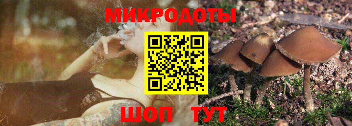 Буйнакск  Галлюциногенные грибы Psilocybe  Галлюциногенные грибы ЛСД  Вход с VPN 